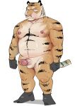  2023 anthro balls belly erection felid genitals hi_res kemono male mammal moobs navel nipples overweight overweight_male pantherine penis pink_nose solo tiger ujishiyo 