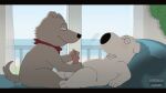  16:9 animated anthro balls biped brian_griffin canid canine canis domestic_dog duo erection eyes_closed family_guy fur genitals grey_body grey_fur handjob hi_res letodoesart lying male male/male mammal on_back penile penis sex short_playtime white_body white_fur widescreen 
