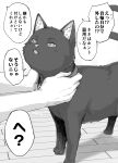  animal animal_collar cat collar fangs greyscale highres koyuki_(kotatsu358) monochrome original solo_focus speech_bubble tongue tongue_out translation_request wooden_floor 