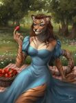  anthro artist_name blue_clothing blue_dress blue_eyes brown_hair clothing dress eyelashes felid female food front_view fruit fur glistening glistening_eyes grass hair hi_res holding_food holding_object mammal marie_merkh mouth_closed orange_body orange_fur outside pantherine plant signature sitting solo strawberry striped_arms striped_legs tan_body tan_fur tiger tree 
