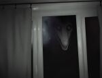  anthro canid crimetxt curtains female hi_res looking_at_viewer mal0 mammal monster night nightmare_fuel open_mouth scp-1471 scp-1471-a scp_foundation sharp_teeth skullhead solo teeth window 