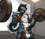 abs alibi-cami anthro blue_body blue_fur bodily_fluids canid canine clenched_teeth erection exercise fur knot male mammal muscular rowan_(rowanwuff) solo sweat teeth weightlifting workout wristband yellow_sclera 