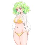  1girl bikini breasts cleavage closed_mouth commentary_request green_hair groin kazami_yuuka large_breasts looking_at_viewer navel red_eyes s-a-murai see-through see-through_shirt short_hair simple_background smile solo swimsuit touhou white_background yellow_bikini 