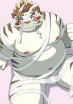  2023 9dtq0 absurd_res anthro balls band-aid bandage belly big_belly blush felid genitals halloween hi_res holidays kemono licho_(tas) lifewonders male mammal moobs mummy_costume navel nipples overweight overweight_male pantherine simple_background sitting solo tiger tokyo_afterschool_summoners white_body 