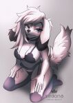  absurd_res anthro canid canine canis choker clothing digital_media_(artwork) domestic_dog female fur garter_belt garter_straps hi_res jewelry legwear lingerie louijanaa mammal necklace panties pantyhose shaded solo solo_focus stockings underwear white_body white_fur 