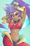  2023 5_fingers blue_eyes breasts brown_body brown_skin clothing colored_nails ear_piercing ear_ring female fingers genie hair hi_res humanoid humanoid_pointy_ears long_hair nails navel not_furry piercing ponytail purple_hair ring_piercing shantae shantae_(series) smile solo tidywire wayforward 