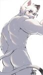  ! 1boy animal_ears ass back bara blush cat_ears cat_tail cowboy_shot furry furry_male highres jcxraf looking_at_viewer male_focus muscular muscular_male orange_eyes original short_hair signature simple_background solo tail white_background white_hair 
