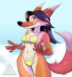  anthro big_nose bikini black_hair bottomwear bottomwear_pull breasts canid canine clothing clothing_pull countershading dipstick_ears dipstick_tail female fox gold_bikini hair hi_res high_cut_bottomwear howaboutgabriel_(artist) long_snout mammal markings medium_breasts midriff multicolored_ears navel orange_body smile snout solo swimwear tail tail_markings wide_hips 