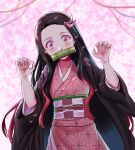  1girl bamboo bit_gag black_hair brown_hair checkered_sash cherry_blossoms commentary_request dated fingernails forehead gag gagged gradient_hair hair_ribbon highres japanese_clothes kamado_nezuko kimetsu_no_yaiba kimono long_hair looking_at_viewer multicolored_hair nicomamu obi pink_eyes pink_kimono pink_ribbon ribbon sash sharp_fingernails signature solo spanish_commentary very_long_hair wide_sleeves 