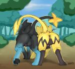  anus backsack balls butt duo felid feral forest generation_4_pokemon generation_7_pokemon genitals hi_res katai legendary_pokemon luxray male male/male mammal nintendo outside pawpads plant pokemon pokemon_(species) presenting presenting_hindquarters rear_view side_by_side take_your_pick tree zeraora 