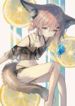  1girl :o ahoge animal_ears arknights bikini black_bikini blue_eyes cup drinking_glass drinking_straw extra_ears feet_out_of_frame food fox_ears fox_girl fox_tail fruit hair_between_eyes hair_ornament hairclip headphones_for_animal_ears hemorina highres lemon lemon_slice looking_at_viewer navel official_alternate_costume oripathy_lesion_(arknights) short_hair simple_background solo sussurro_(arknights) sussurro_(summer_flowers)_(arknights) swimsuit tail 