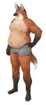  2021 anthro barefoot belly briefs briefs_only canid canine canis cettus clothed clothing feet fur hand_on_hip hi_res male mammal maned_wolf moobs navel nipples orange_body orange_fur overweight overweight_anthro overweight_male simple_background solo standing topless underwear underwear_only white_background wolf 