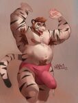  absurd_res alrezaham1 anthro bodily_fluids body_hair felid genital_fluids hi_res male mammal musk nipples overweight overweight_anthro pantherine precum solo tiger tommah 
