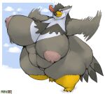  2016 anthro arkveveen_(artist) avian beak big_breasts bodily_fluids bouncing_breasts breasts cloud curvy_figure female flying_sweatdrops generation_4_pokemon huge_breasts nintendo nipples overweight overweight_anthro overweight_female pokemon pokemon_(species) signature sky solo staraptor sweat sweatdrop thick_thighs voluptuous wide_hips 