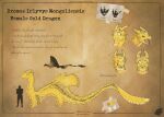  digital_media_(artwork) dragon dungeons_and_dragons gold_dragon golden hasbro hi_res invalid_tag model_sheet naana naanahsntil noodle referecensheet wholesome wizards_of_the_coast 