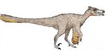  2021 ambiguous_gender bipedal_feral cc-by-sa colored creative_commons dinosaur dromaeosaurid feathered_dinosaur feathers feet feral graphite_(artwork) hi_res long_tail open_mouth orange_body orange_feathers pencil_(artwork) pyroraptor pyroraptor_olympius reptile reuben_cozens scalie sharp_teeth side_view simple_background snout solo standing tail tail_feathers talons teeth theropod toes traditional_media_(artwork) white_background white_body white_feathers winged_arms wings yellow_body yellow_feathers yellow_sclera 