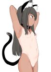  1girl animal_ear_fluff animal_ears armpits arms_behind_head arms_up azuse_neko bar_censor black_collar blunt_bangs breasts brown_eyes cat_ears cat_girl cat_tail censored cleft_of_venus collar completely_nude cowboy_shot expressionless grey_hair highres long_hair looking_to_the_side nipples nude one-piece_tan original pussy simple_background sketch small_breasts solo tail tan tanlines white_background 