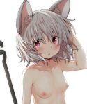  1girl :o animal_ears arm_behind_head arm_up blush breasts collarbone commission dowsing_rod grey_hair hair_between_eyes looking_at_viewer mouse_ears naegi_(naegidokoro) nazrin nipples nude parted_lips red_eyes simple_background skeb_commission small_breasts solo touhou upper_body wet white_background 