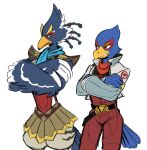  2boys beak bird_boy commentary crossed_arms crossover english_commentary falco_lombardi furry furry_male green_eyes highres jacket look-alike looking_at_another male_focus multiple_boys revali shanzehpoo simple_background standing star_fox tail the_legend_of_zelda the_legend_of_zelda:_breath_of_the_wild trait_connection white_background winged_arms wings 