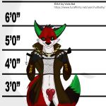  2018 animal_genitalia animal_penis anthro artist_name balls black_ears black_sclera bottomless canid canine canine_genitalia canine_penis chart clothed clothing coat english_text fishnet_shirt fox front_view fur genitals green_eyes green_inner_ear green_tail_tip grin height_chart hi_res holding_object holding_whip knot looking_at_viewer male mammal mugshot penis portrait red_body red_fur red_penis smile solo text three-quarter_portrait topwear trenchcoat url victor_johansen viola_bat whip 