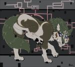  2021 all_fours canid canine canis claws clenched_teeth fangs feral fur link_(wolf_form) looking_back male mammal marcushunter nintendo nude paws raised_hindleg raised_leg signature snarling solo teeth the_legend_of_zelda twilight_princess wolf 