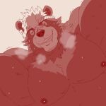 accessory anthro bear biceps blush bodily_fluids goro_(live_a_hero) grin headband lifewonders live_a_hero looking_at_viewer looming_over male mammal muscular muscular_anthro muscular_male nipples pecs run_aki smile solo sweat 