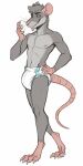  anthro clothed clothing diaper diaper_fetish diaper_only hi_res male mammal murid murine rat rodent solo topless unknown_artist 