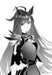  1girl ahoge animal_ears arms_at_sides belt breasts closed_mouth dress duramente_(umamusume) feathers frown greyscale highres horse_ears long_hair long_sleeves looking_to_the_side medium_breasts monochrome multiple_girls nayuta_ggg solo umamusume upper_body v-shaped_eyebrows very_long_hair 
