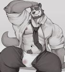  2023 anthro beard biceps black_bottomwear black_clothing black_hair black_pants bladetiger bottomwear bulge clothing collared_shirt eyewear facial_hair fur glasses grey_background grey_body grey_fur hair hand_on_head hi_res looking_at_viewer male mammal muscular muscular_anthro muscular_male mustelid navel necktie nipples otter pants pubes shirt siggy_(storiaxion) simple_background solo thick_thighs topwear unbuttoned_pants unbuttoned_shirt white_clothing white_shirt white_topwear yellow_eyes 