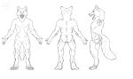  absurd_res alpha_channel anthro black_and_white canid canine canis front_view hi_res mammal model_sheet monochrome open_mouth rear_view side_view solo tail weredigo(artist) wolf 