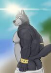  adastra adastra_(series) amicus_(adastra) animal_humanoid anthro big_breasts breasts butt canid canine canis clothed clothing echo_project fur hi_res humanoid looking_at_viewer male mammal nipples simple_background smile solo tail wolf 