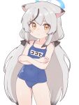  1girl absurdres animal_ears bare_arms bare_legs bare_shoulders blue_archive blue_halo blue_one-piece_swimsuit blush closed_mouth collarbone cowboy_shot english_commentary flat_chest grey_hair halo highres kokona_(blue_archive) lk149 long_hair looking_at_viewer name_tag one-piece_swimsuit school_swimsuit solo swimsuit tiger_ears yellow_eyes 