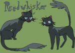  blue_eyes domestic_cat felid feline felis feral fur grey_body grey_fur guncht male mammal model_sheet reedwhisker_(warriors) smile solo 