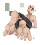  2023 5_toes anthro black_bottomwear black_clothing black_pants bottomwear brown_body clothed clothing countershading feet foot_focus fur hi_res humanoid_feet lying male mammal on_front pants plantigrade procyonid raccoon raccoonfeets smile soles solo toe_curl toes topless 