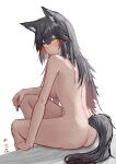  1girl absurdres animal_ear_fluff animal_ears arknights ass back black_hair black_nails blush breasts closed_mouth completely_nude from_side highres knee_up long_hair looking_at_viewer looking_to_the_side medium_breasts nail_polish nude on_bed red_hair sideboob simple_background sitting solo tail texas_(arknights) white_background wolf_ears wolf_tail wordsworth_owo yellow_eyes 