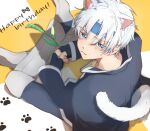  1boy animal_ears armor bandana blue_bandana blue_eyes blush cape cat_boy cat_ears cat_tail crossed_legs fang fang_out furrowed_brow happy_birthday holding holding_plant lealea5656 long_sleeves looking_at_viewer looking_up male_focus parted_bangs paw_print paw_print_background plant puyopuyo puyopuyo_quest schezo_wegey short_hair sitting solo sweat tail white_hair 