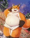  2023 anthro balls belly big_belly blush bodily_fluids canid canine detailed_background fox genitals hi_res humanoid_hands iyo_(tamacolle) kemono kemonuo male mammal moobs nipples orange_body outside overweight overweight_male solo sweat tamacolle towel 
