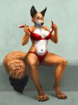  anthro aurru bikini blue_eyes breasts canid canine claws clothed clothing dipstick_tail female fluffy fluffy_tail fox hi_res judy_reinard looking_at_viewer mammal markings navel partially_clothed sitting solo swimwear tail tail_markings undressing 