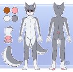  anthro brown_eyes butt canid eyebrows featureless_crotch front_view fur glistening glistening_eyes grey_body grey_ears grey_eyebrows grey_fur grey_hair hair hi_res looking_at_viewer male mammal model_sheet mouth_closed nude pawpads pink_nose pink_pawpads rear_view riddlr short_hair simple_background solo standing white_body white_fur 