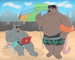  2023 absurd_res anthro beach belly big_belly bottomwear brok_the_investigator brown_body clothing detailed_background duo eyewear grey_body guard_(brok_the_investigator) hacker_(brok_the_investigator) hat headgear headwear hi_res male male/male mammal moobs mouse murid murine outside overweight overweight_male rat rodent sato_afroleone seaside shorts sitting sunglasses swimwear 