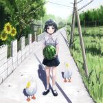  1girl absurdres animal bird black_eyes black_hair black_skirt day duck flower food fruit grey_shirt highres holding holding_food holding_fruit looking_at_viewer okura_lino original outdoors power_lines rural scenery shadow shirt short_hair skirt solo sunflower tree utility_pole watermelon 