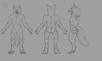  absurd_res anthro canid canine canis front_view hi_res inner_ear_fluff mammal model_sheet open_mouth rear_view side_view solo tail tuft weredigo(artist) wolf 