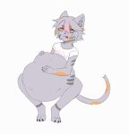  abdominal_bulge animated anthro anthro_pred blep calico_cat calico_pattern clothing crop_top domestic_cat feladi felid feline felis female female_pred fur grey_body grey_fur grey_stripes highlights_(coloring) holding_belly mammal paws pink_eyes pink_highlights rinxqwe shirt simple_background solo stripes tabby_cat tabbycat tongue tongue_out topwear vore white_clothing white_shirt white_topwear yellow_sclera 