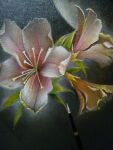  dark flower light mitzoka2001 no_humans original painting_(medium) pastel_(medium) pink_flower plant realistic still_life traditional_media 