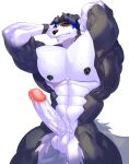  abs anthro big_penis border_collie canid canine canis collie domestic_dog genitals herding_dog hi_res humanoid humanoid_genitalia humanoid_penis male mammal mason_(trivolmckenley) muscular muscular_male nipple_piercing nipples pastoral_dog penis piercing pose sheepdog smile smiling_at_viewer solo sportswear unknown_artist 