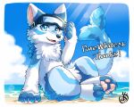  anthro ayaka beach blue_body blue_fur blue_sky canid canine canis claws countershading english_text eyewear eyewear_on_head fangs fin fur goggles goggles_on_head hybrid looking_at_viewer mammal marine multicolored_body multicolored_fur pawpads paws sand seaside signature sitting sky smile solo swimming_goggles tail tail_fin teeth text white_body white_fur wolf 
