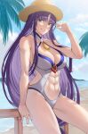  abs absurdres altina_(fire_emblem) altina_(summer)_(fire_emblem) beach blue_eyes breasts clothing_cutout commission commissioner_upload deras fire_emblem fire_emblem:_radiant_dawn fire_emblem_heroes hat highres muscular muscular_female non-web_source one-piece_swimsuit purple_hair sitting smile swimsuit sword weapon white_one-piece_swimsuit 