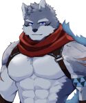  1boy bara character_request chest_belt crave_saga furry furry_male grey_fur large_pectorals looking_at_viewer male_focus muscular muscular_male nattukre nipples pectorals scar short_hair smile solo upper_body wolf_boy 