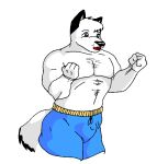  2009 anthro blue_eyes bottomwear canid canine canis chuck_(danellz) clothing danellz digital_media_(artwork) domestic_dog fur growth male mammal muscle_growth muscular muscular_anthro muscular_male open_mouth shorts simple_background solo white_background white_body white_fur 
