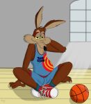  absurd_res anthro ball basketball basketball_(ball) bottomwear canid canine canis clothed clothing coyote footwear hi_res looney_tunes male mammal rasik shirt shoes shorts sitting sneakers solo space_jam spread_legs spreading tank_top topwear warner_brothers wile_e._coyote 